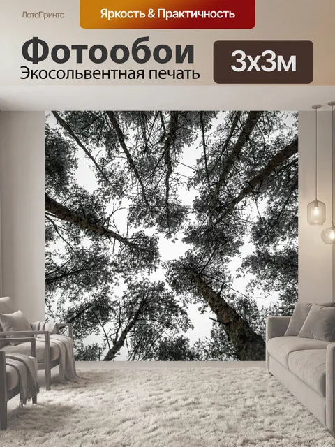 Фотообои Лес