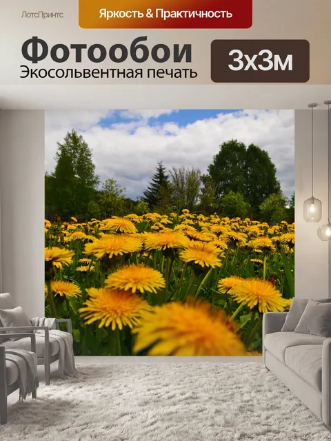 Фотообои Одуванчики