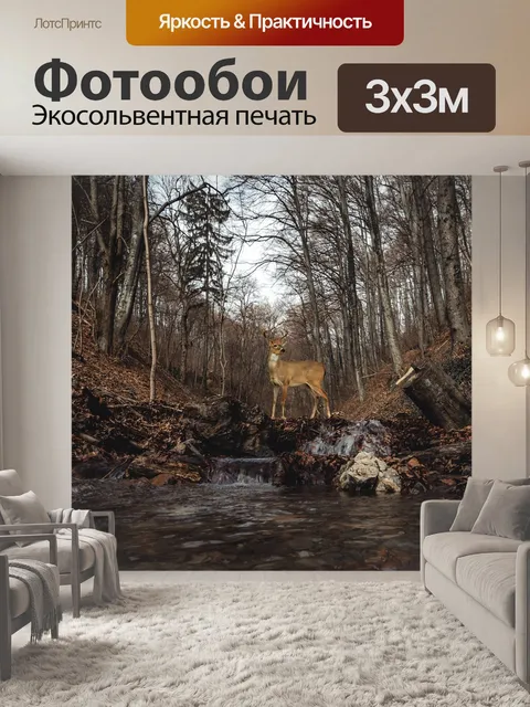 Фотообои Лес