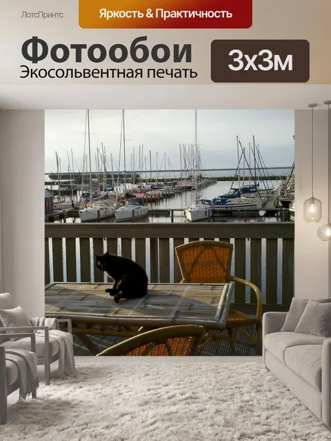 Фотообои Кошка