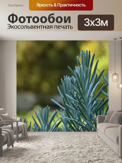 Фотообои Листья