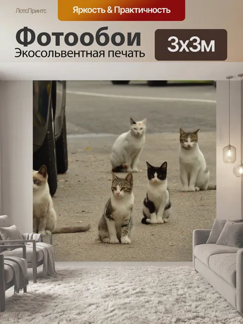 Фотообои Кошка