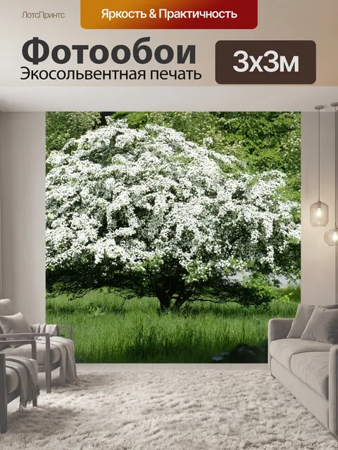 Фотообои Дерево