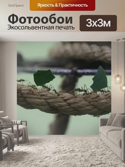 Фотообои Муравей