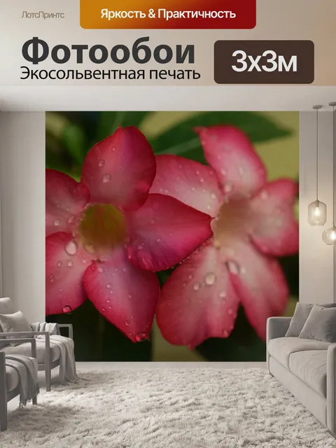 Фотообои Цветы