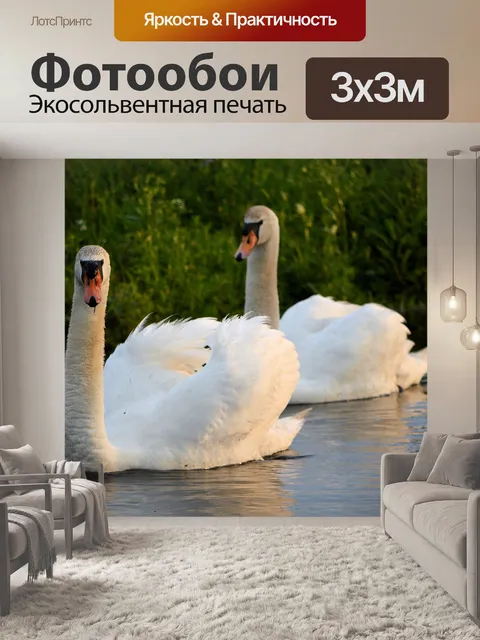 Фотообои Пара