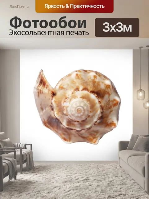 Фотообои Спиральная формованная морская раковина