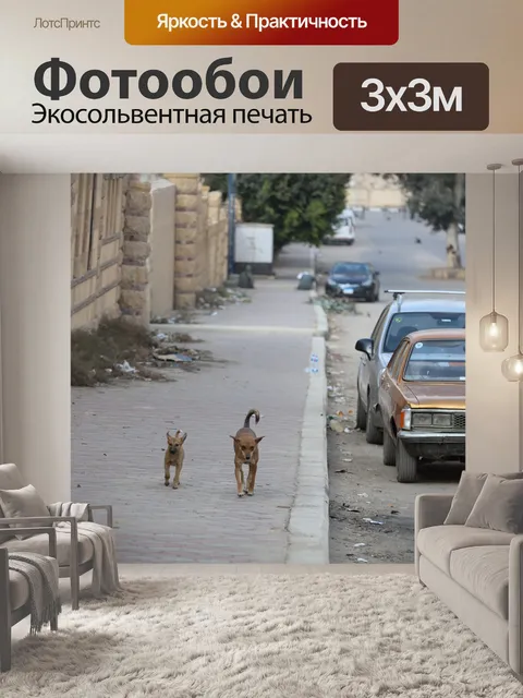 Фотообои Собака