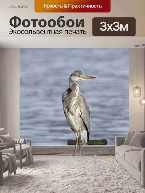 Фотообои Птица