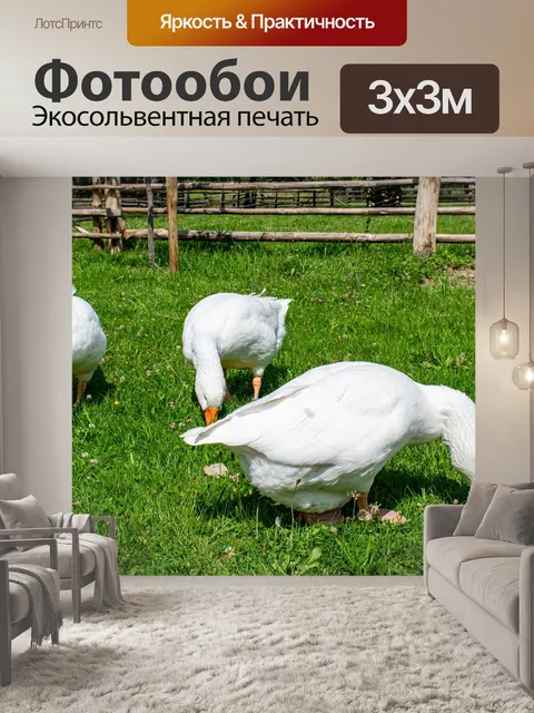 Фотообои Гуси