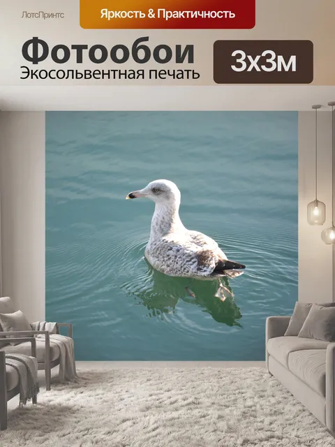 Фотообои Отражение птицы и воды