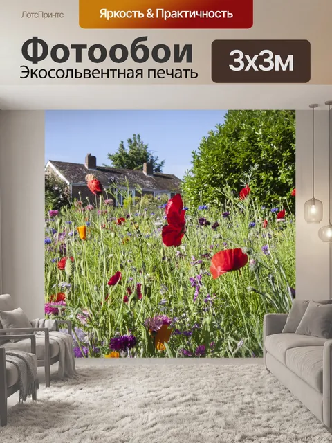Фотообои Маки и полевые цветы