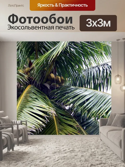 Фотообои Кокосовая пальма