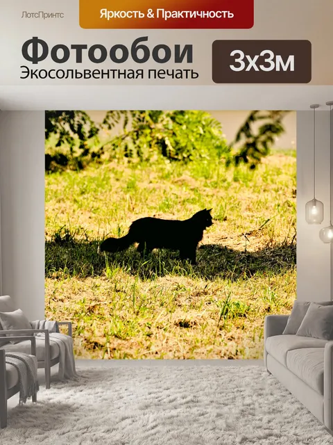 Фотообои Кот в тени деревьев
