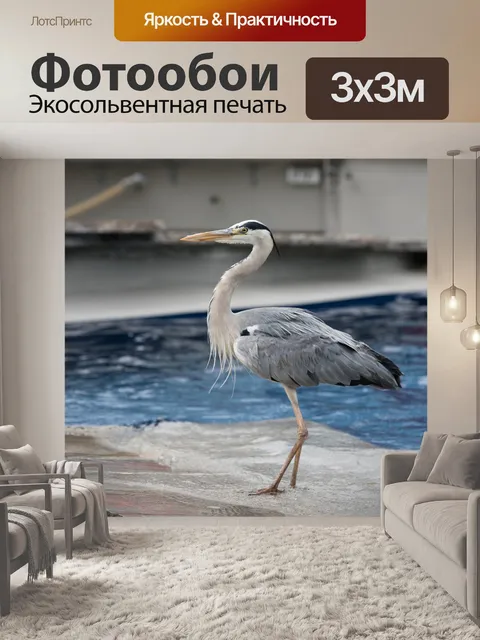 Фотообои Птица
