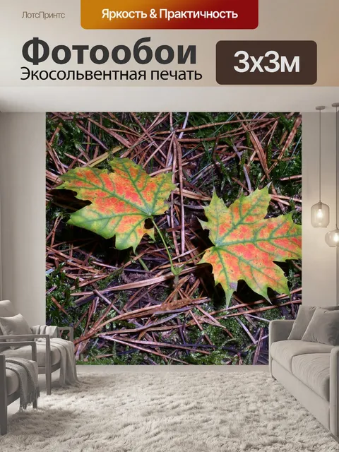 Фотообои Лес