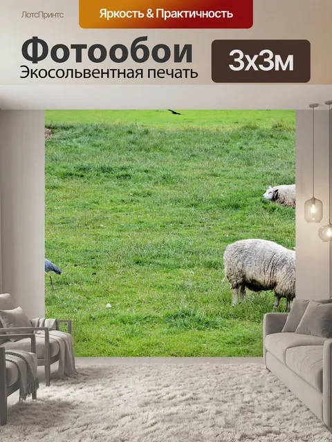 Фотообои Овца
