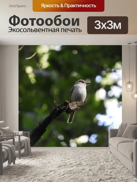 Фотообои Птица