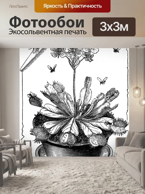 Фотообои Клипарт Венерина мухоловка