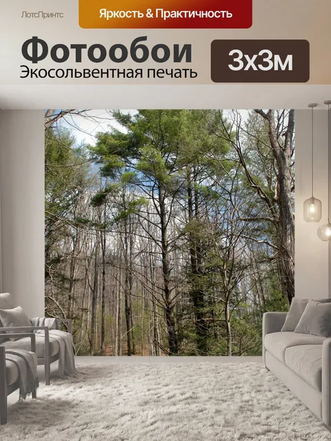 Фотообои Лесистость области