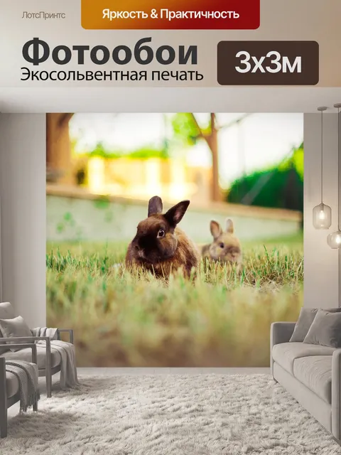 Фотообои Кролик