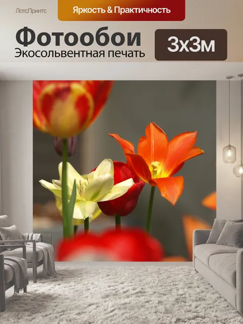 Фотообои Цветок