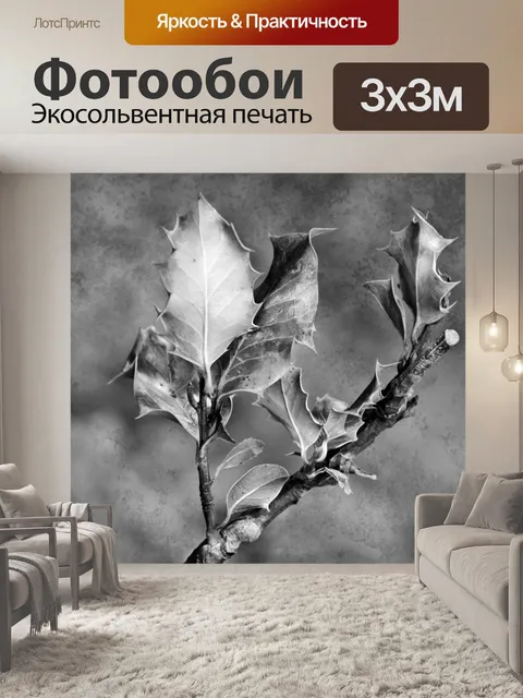 Фотообои Сухие листья