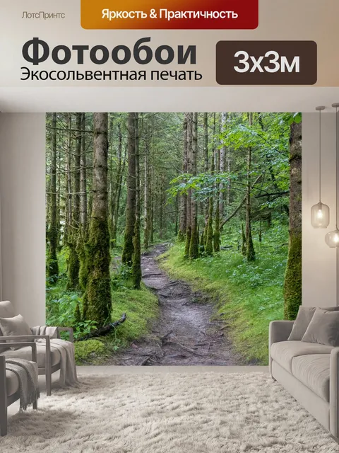 Фотообои Тащить