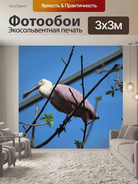 Фотообои Птицы
