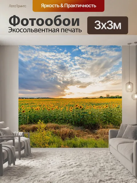 Фотообои Подсолнечник