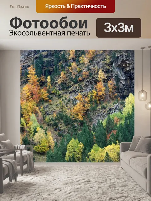 Фотообои Осень