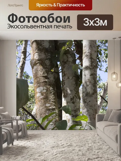 Фотообои Деревья
