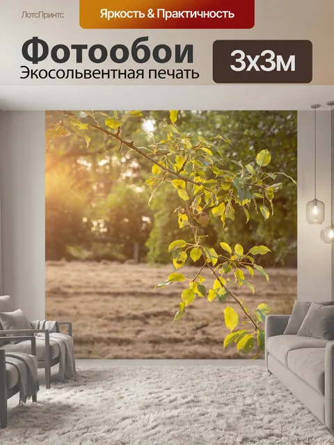 Фотообои Парк
