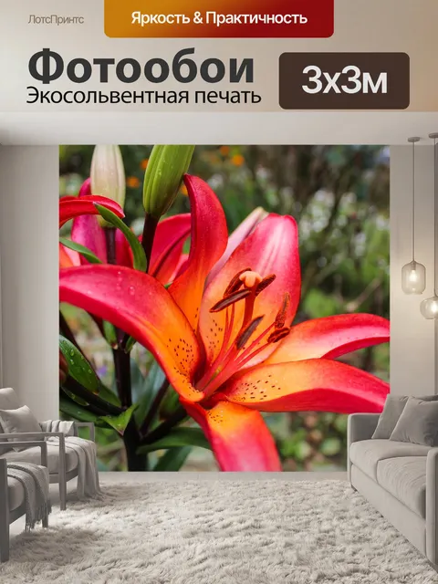 Фотообои Лили