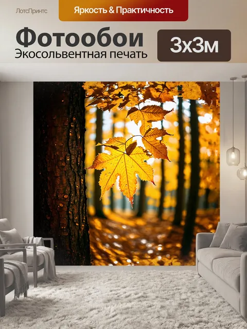 Фотообои глубокий осенний лес боснии и герцеговины