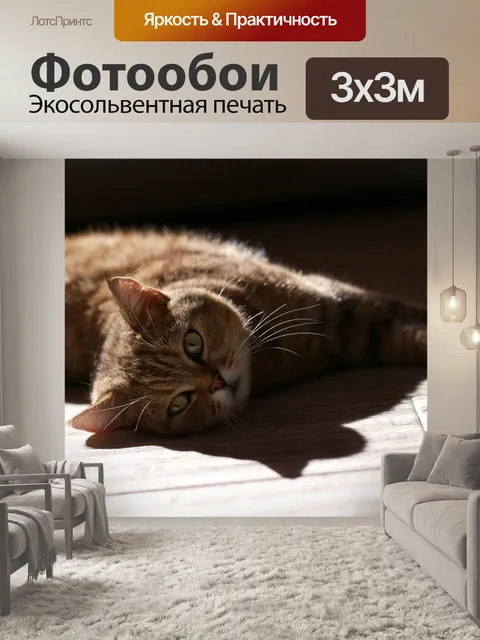 Фотообои Кошка