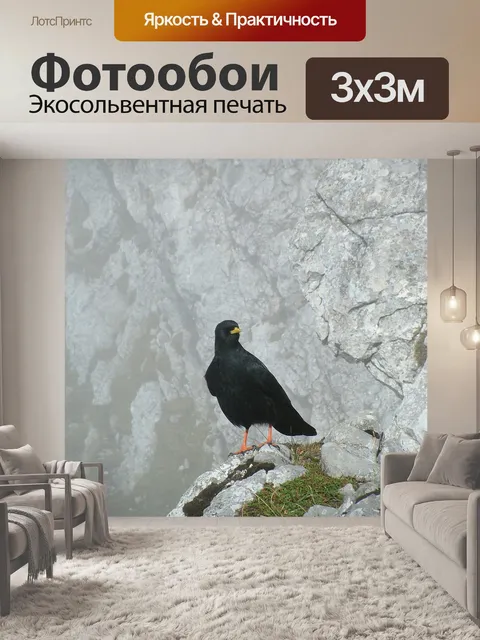 Фотообои Животное