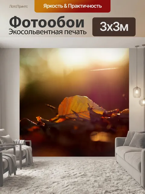 Фотообои Падение