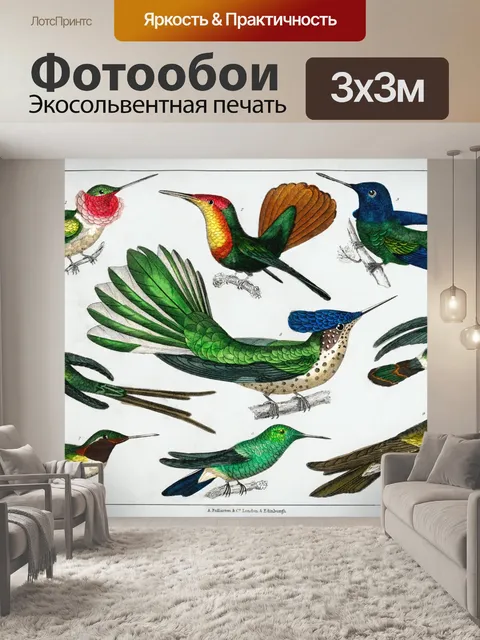 Фотообои Колибри Птицы Старинное Искусство