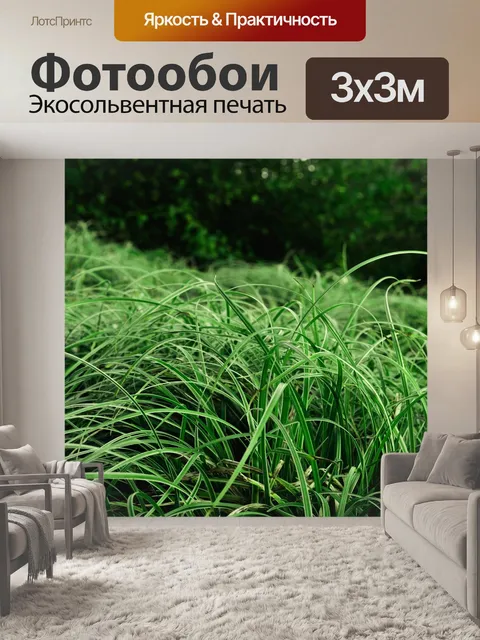 Фотообои Травы