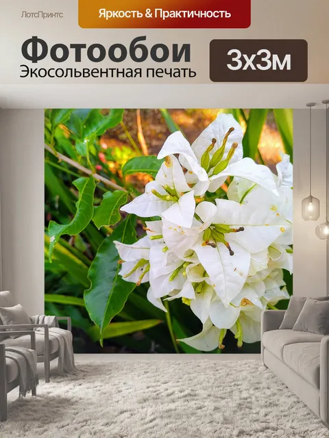 Фотообои Белый