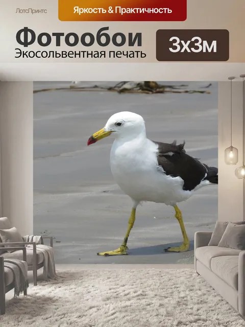 Фотообои Птица