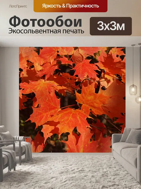 Фотообои Кленовые листья