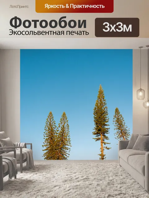Фотообои Деревья