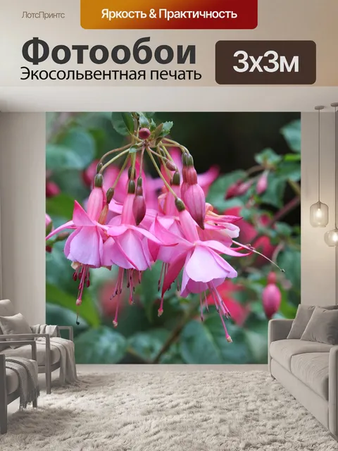 Фотообои Фуксия