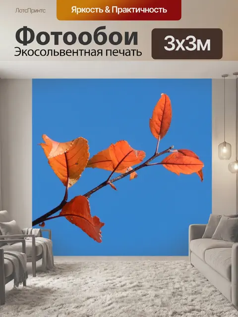 Фотообои Не замужем
