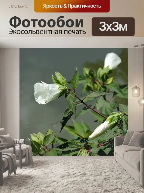 Фотообои Белый