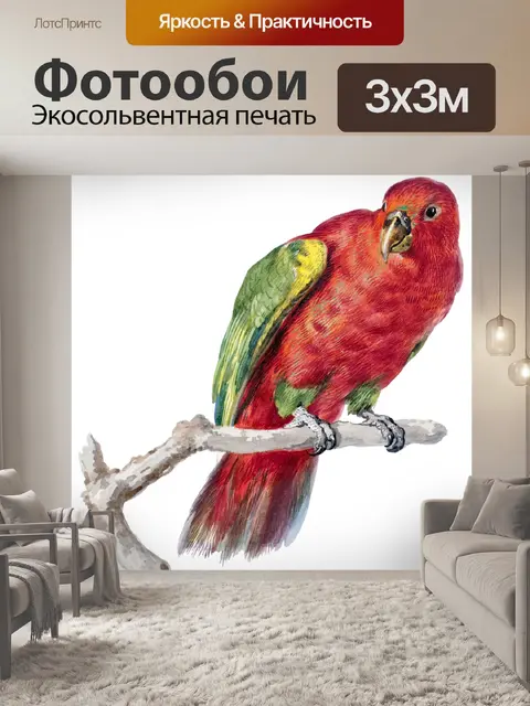 Фотообои Винтажный попугай