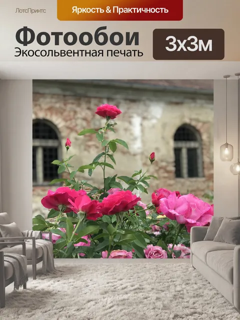 Фотообои Розы