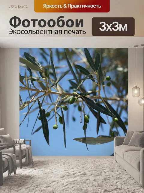 Фотообои Оливки